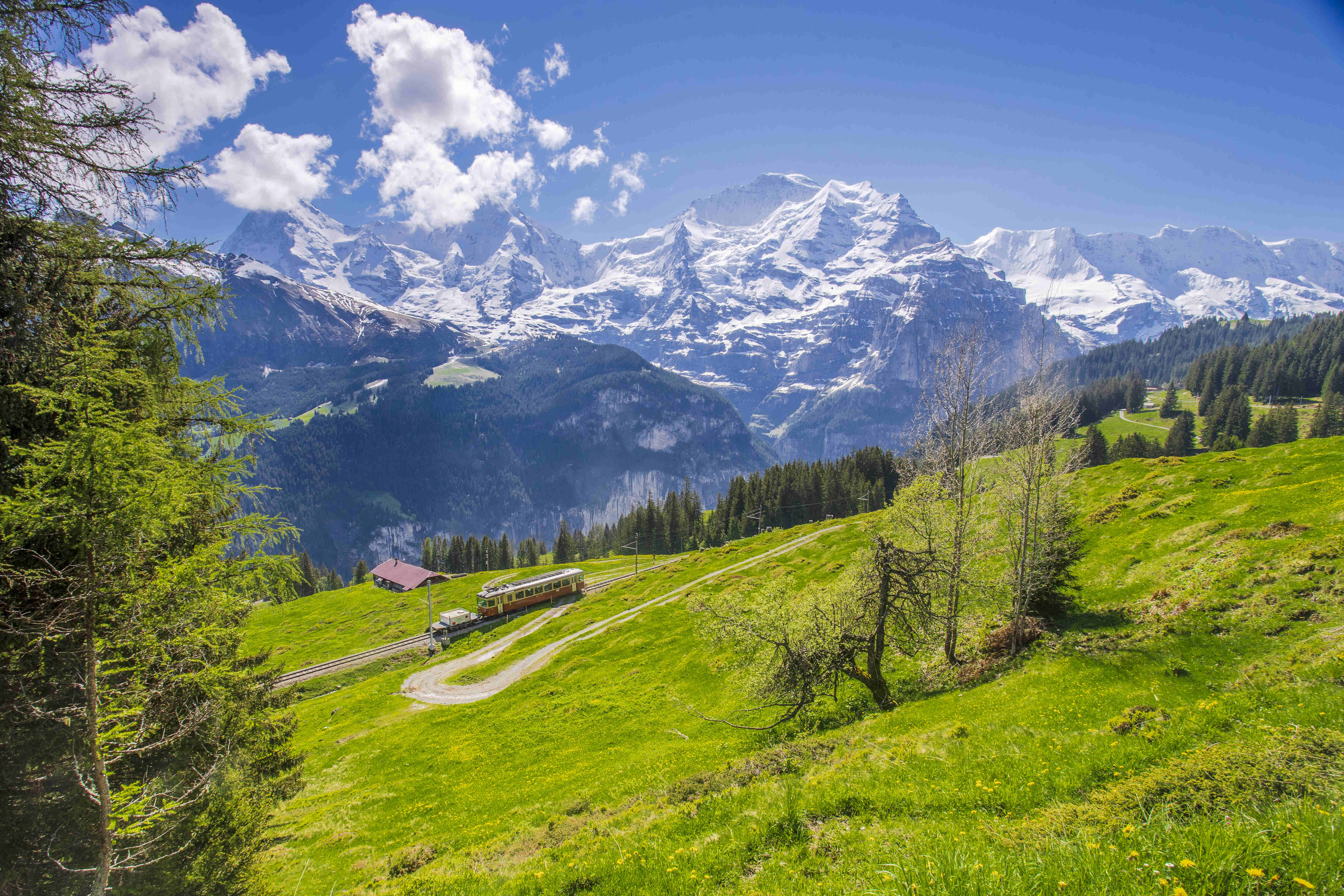 train-runs-through-beautiful-landscape-swiss-alps (1)